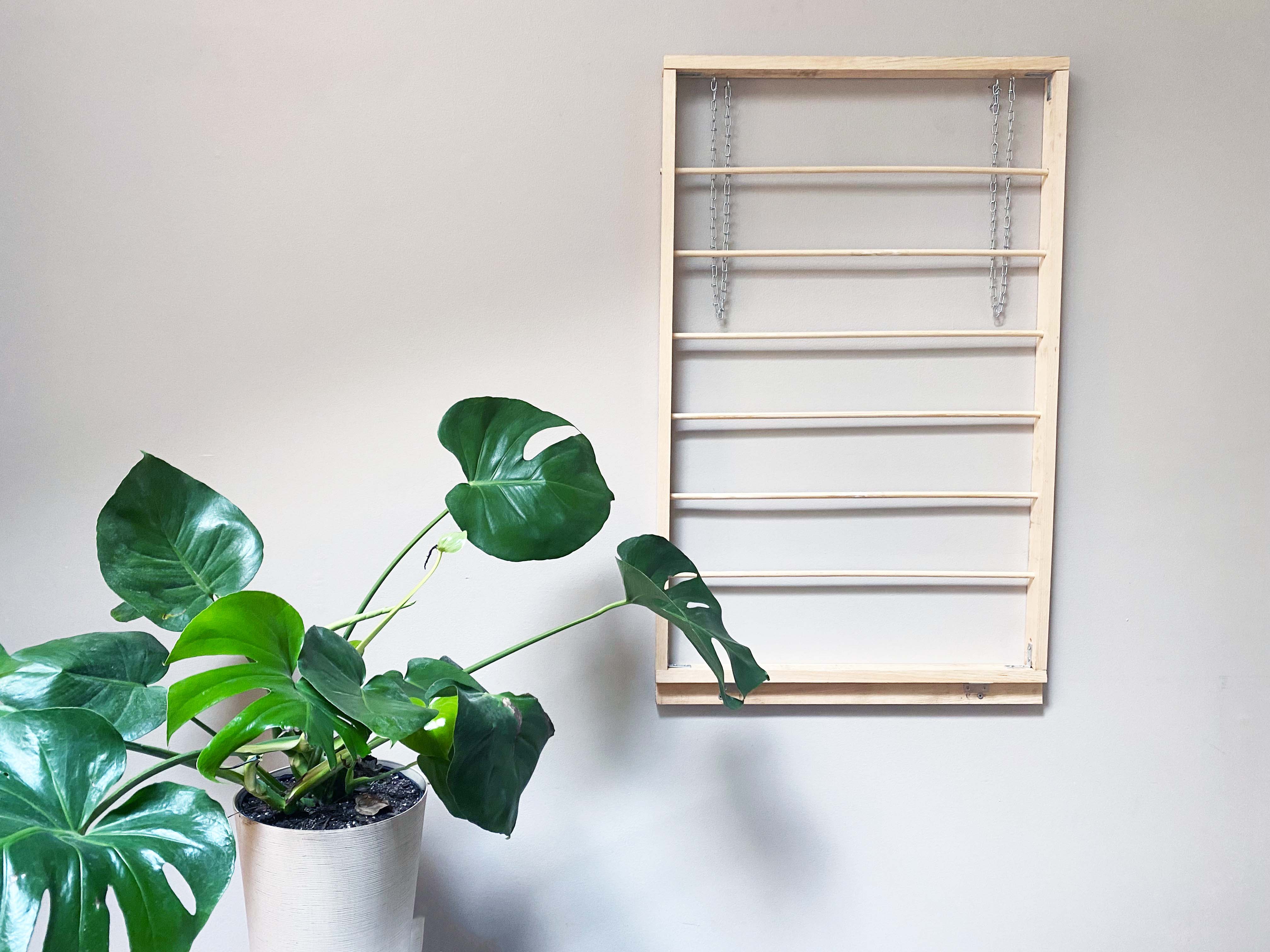 drying rack hanging on wall next to plant