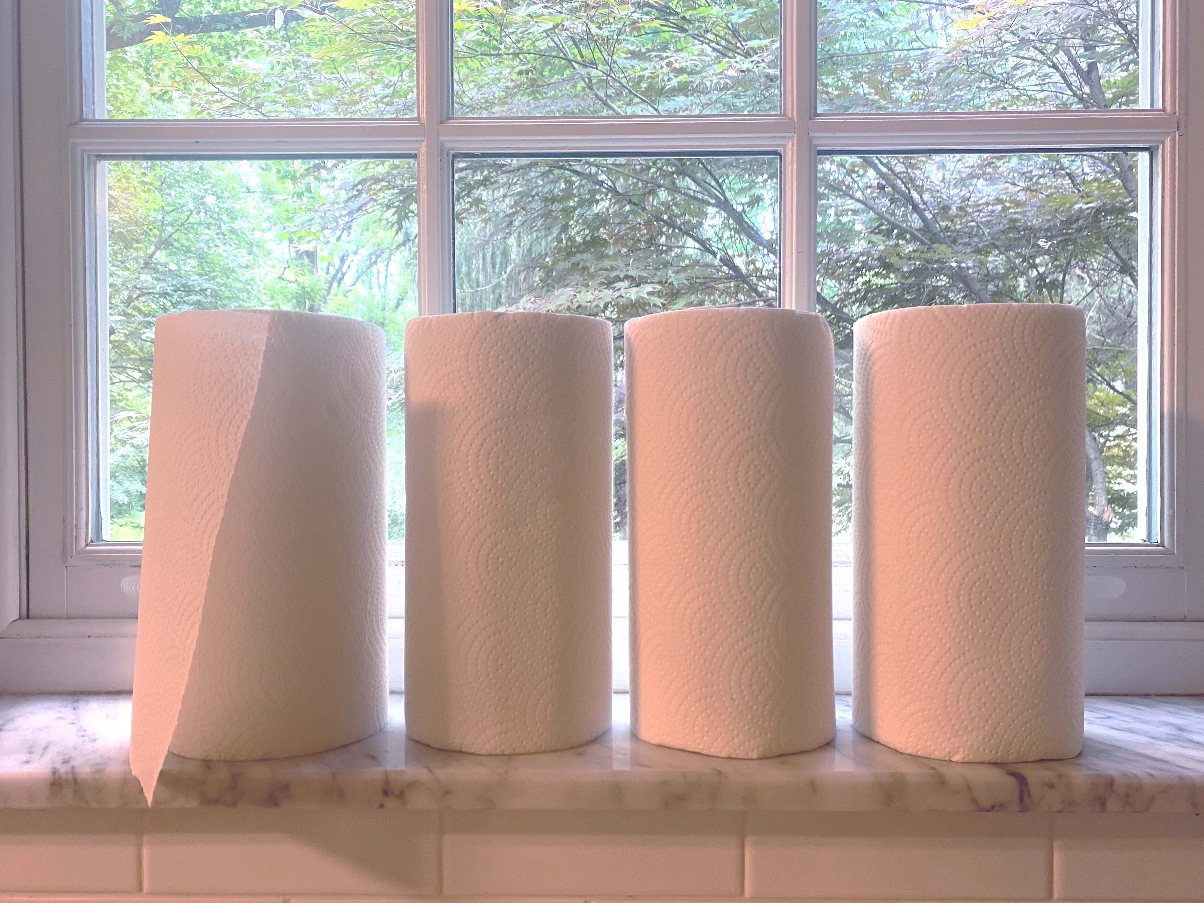 The Environmental Impact of Paper Towels